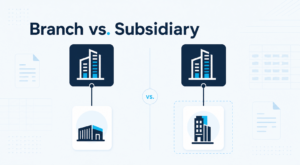 Graphical illustration of branch vs subsidiary UAE company structure